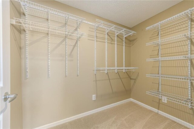 spacious closet with carpet floors