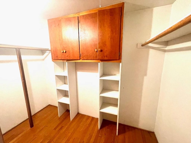 walk in closet with light wood-style flooring