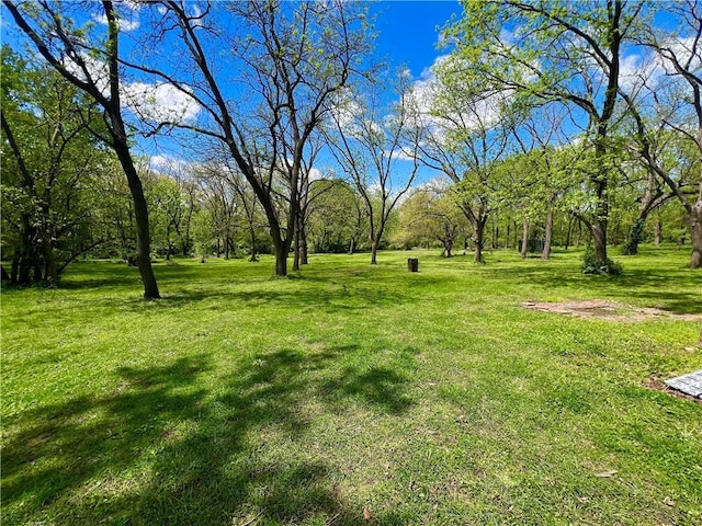 2312 Maple Ave, Leavenworth, KS 66048 - view of green lawn