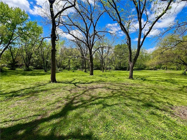 2312 Maple Ave, Leavenworth, KS 66048 - view of green lawn