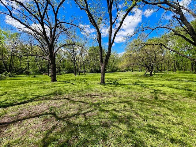 2312 Maple Ave, Leavenworth, KS 66048 - view of green lawn