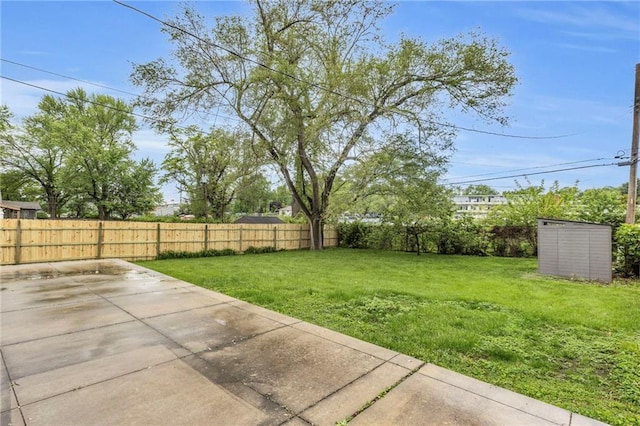 view of yard with a fenced backyard and a patio area