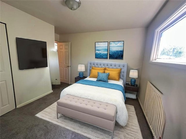 4714 Norton Ave, Kansas City, MO 64130 - bedroom featuring radiator, carpet, and baseboards