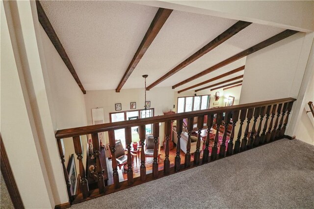 12 Woodland Trl, Warrensburg, MO 64093 - corridor with carpet floors, beam ceiling, an upstairs landing, and a textured ceiling