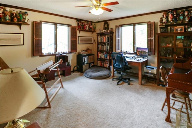 12 Woodland Trl, Warrensburg, MO 64093 - office area with a ceiling fan, carpet floors, and ornamental molding