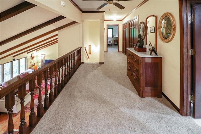 12 Woodland Trl, Warrensburg, MO 64093 - hallway featuring an upstairs landing, carpet, ornamental molding, and plenty of natural light