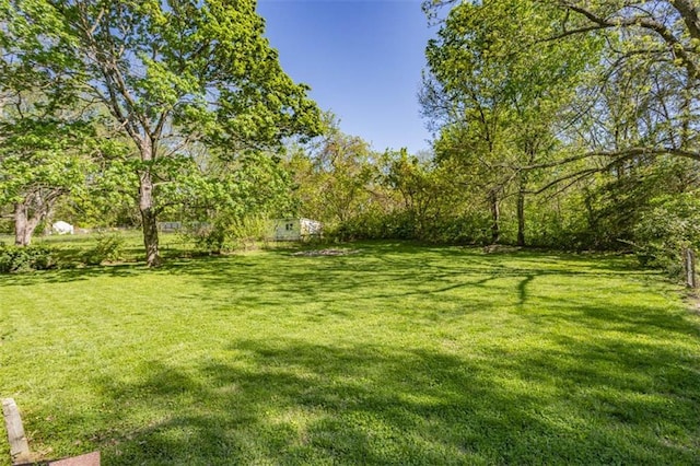 view of yard with an outdoor structure and a shed