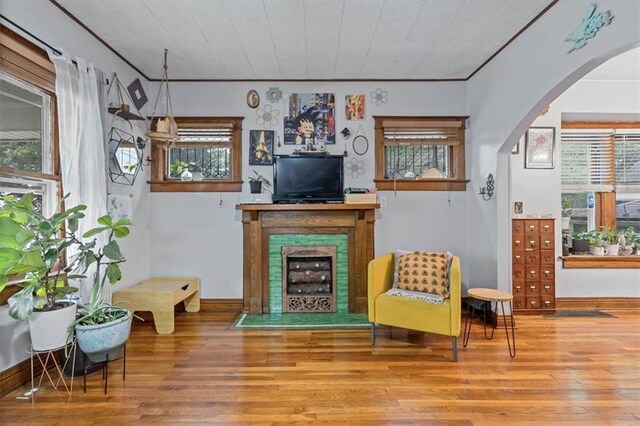 living area featuring wood finished floors, crown molding, arched walkways, and a fireplace with flush hearth