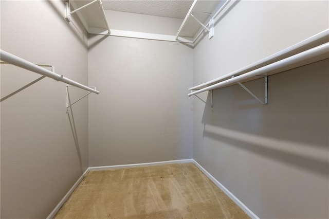 walk in closet featuring light colored carpet