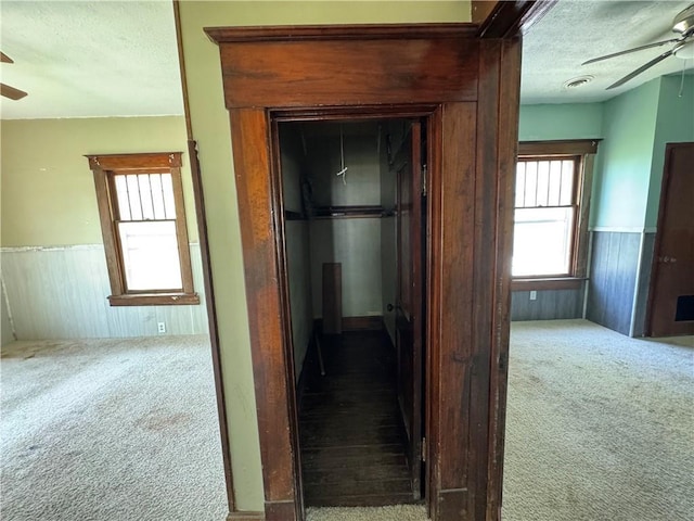 318 S Williams St, Craig, MO 64437 - hall with wooden walls, a wainscoted wall, carpet, and a textured ceiling