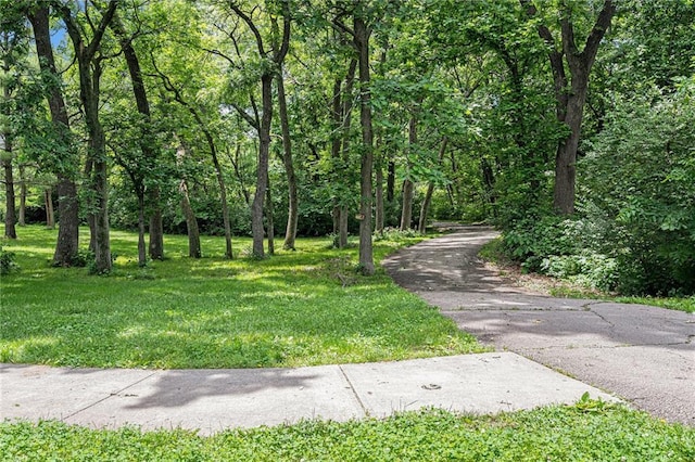 view of home's community with driveway, a lawn, and a view of trees