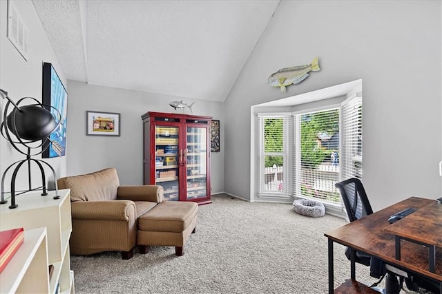 office space featuring lofted ceiling and carpet flooring