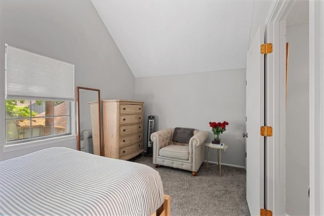 carpeted bedroom with vaulted ceiling