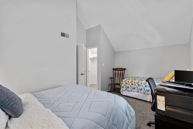 carpeted bedroom with lofted ceiling and a spacious closet