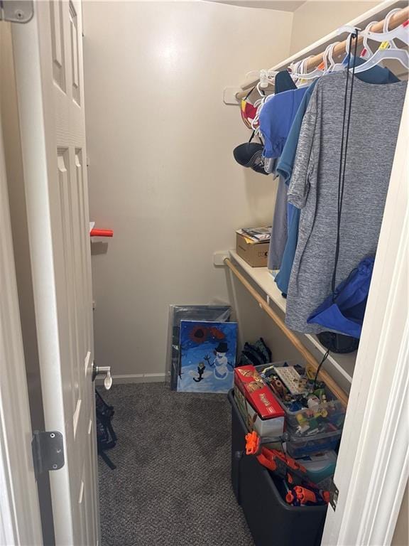 14 Emerald Shore Dr, Lake Tapawingo, MO 64015 - walk in closet featuring carpet floors