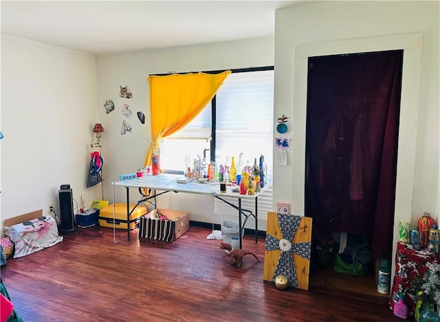 8480 NW High St Unit B, Amsterdam, MO 64723 - interior space featuring wood finished floors