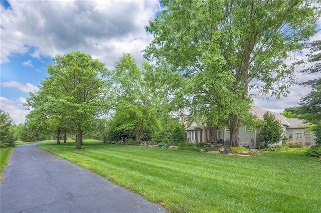 2945 W 143rd Ter, Leawood, KS 66224 - view of green lawn