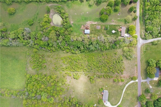 1115 S Borgman Rd, Buckner, MO 64016