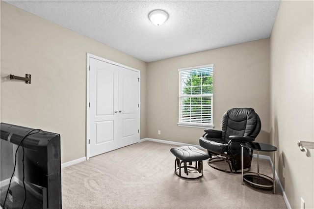 18461 W 157th St, Olathe, KS 66062 - sitting room featuring a textured ceiling and carpet flooring