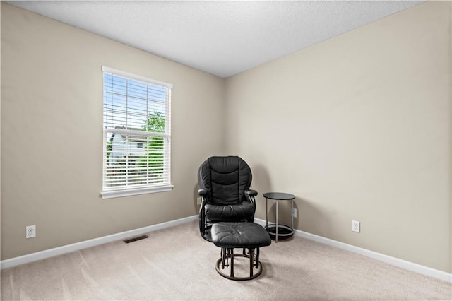 18461 W 157th St, Olathe, KS 66062 - sitting room with carpet floors and a textured ceiling