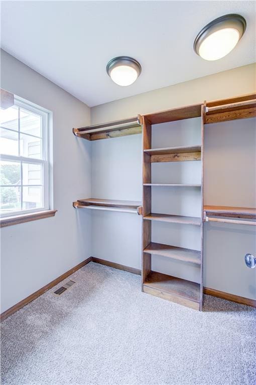 603 Madison St, Pleasant Hill, MO 64080 - photo 21