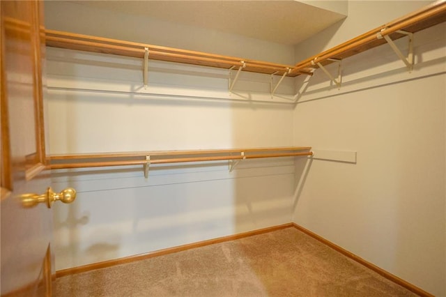 spacious closet with carpet flooring