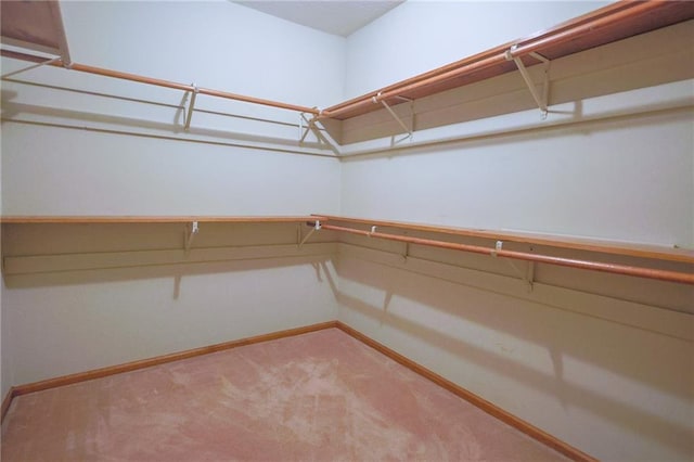 spacious closet with carpet floors