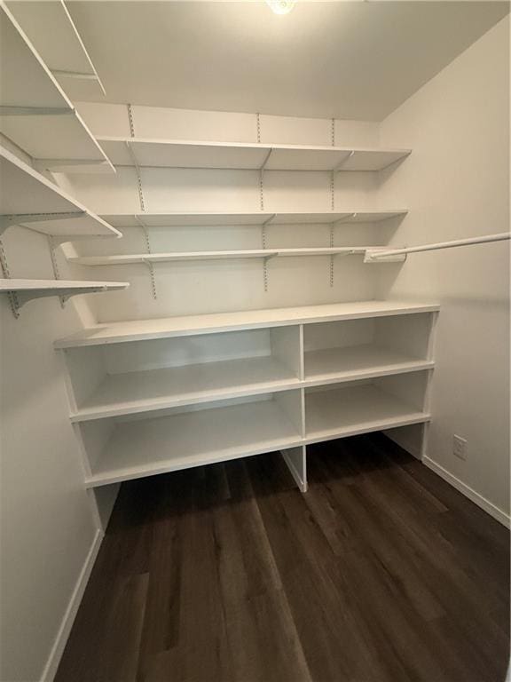 spacious closet featuring dark wood-style floors