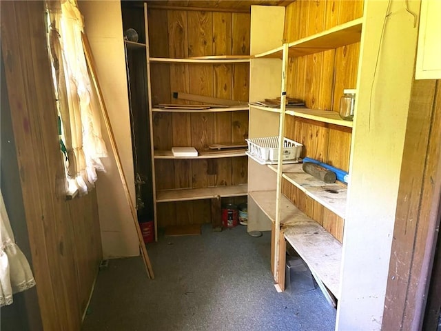 509 Whitcomb St, Lathrop, MO 64465 - view of storage