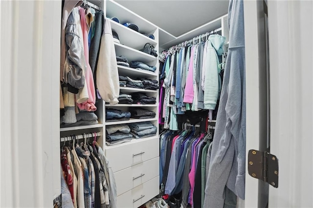 view of walk in closet