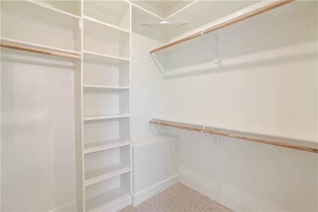 1604 Mulberry St, Pleasant Hill, MO 64080 - spacious closet with carpet flooring