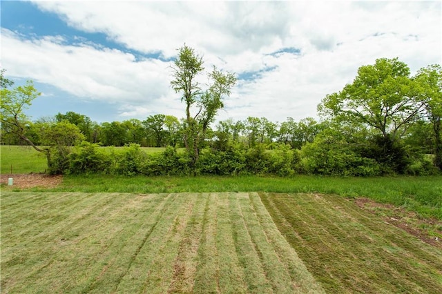 1604 Mulberry St, Pleasant Hill, MO 64080 - view of yard