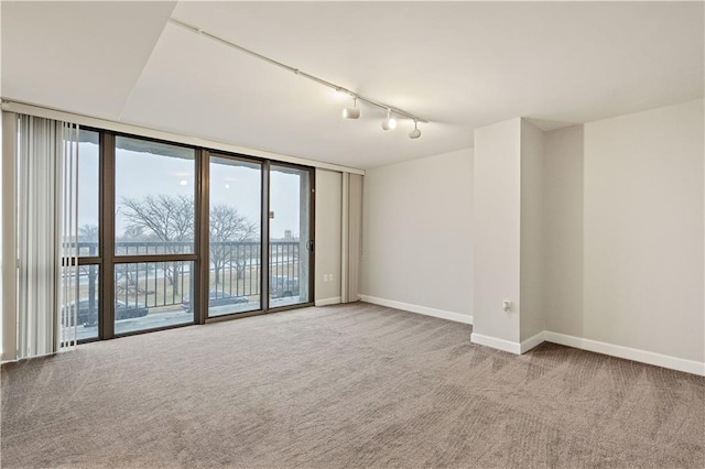 empty room with carpet flooring, rail lighting, baseboards, and plenty of natural light