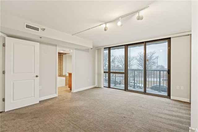 spare room with carpet flooring, baseboards, a wall of windows, and rail lighting