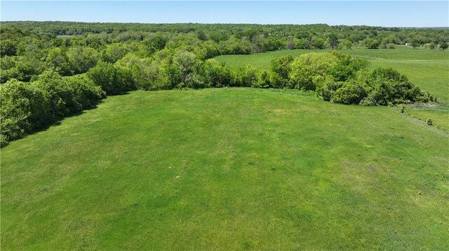 416 N Buckner Tarsney Rd, Buckner, MO 64016 - photo 82