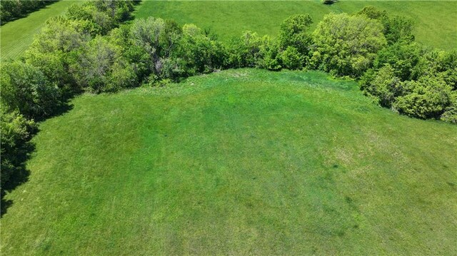 416 N Buckner Tarsney Rd, Buckner, MO 64016 - photo 93