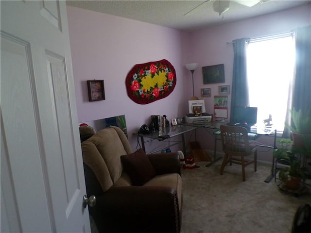 office featuring carpet flooring and a ceiling fan