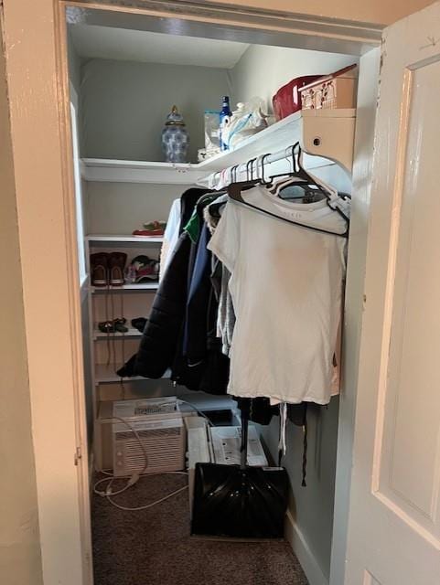 walk in closet featuring carpet flooring