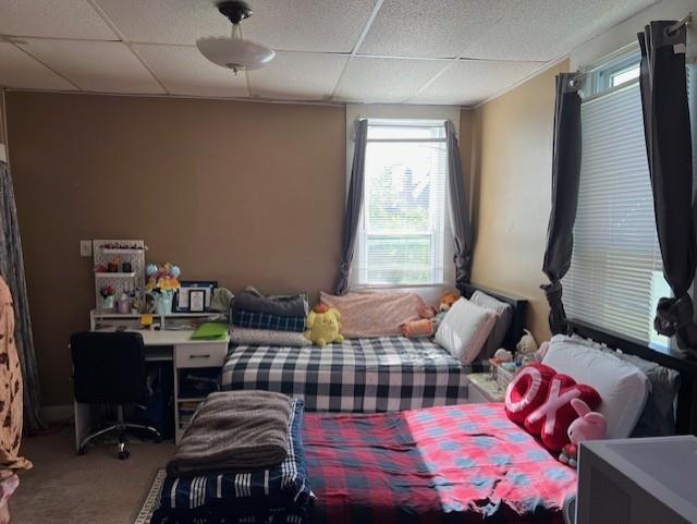 bedroom featuring carpet and a paneled ceiling
