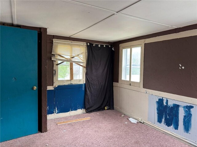 spare room with a wealth of natural light and carpet floors