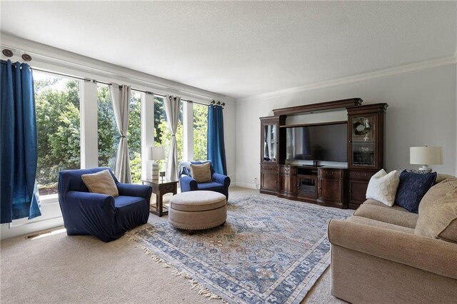 8701 W 157th St, Overland Park, KS 66221 - living area with carpet floors and ornamental molding