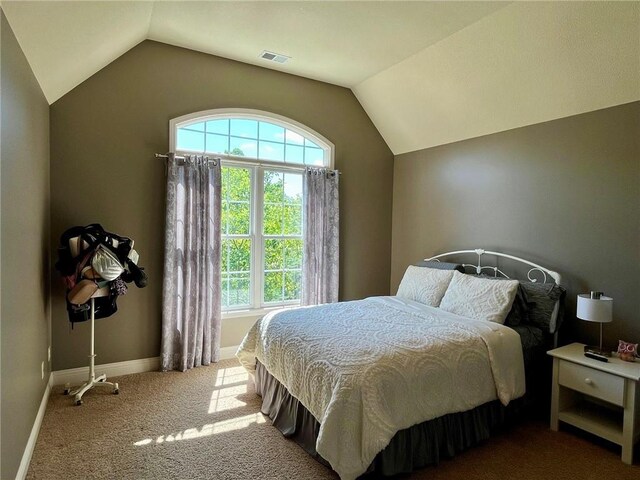 14692 S Garnett St, Olathe, KS 66062 - carpeted bedroom with multiple windows and lofted ceiling