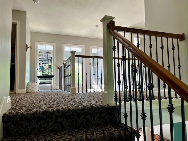 14692 S Garnett St, Olathe, KS 66062 - stairway with carpet floors and baseboards