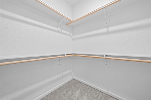12209 N Rhode Ct, Kansas City, MO 64163 - photo 19