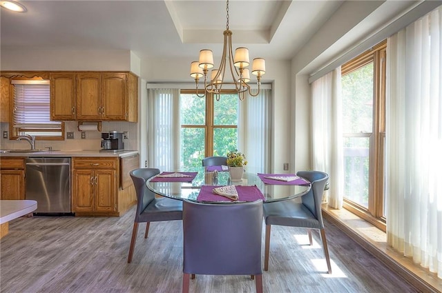 dining area featuring a chandelier, wood finished floors, and a raised ceiling