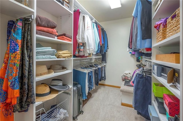 walk in closet with carpet floors
