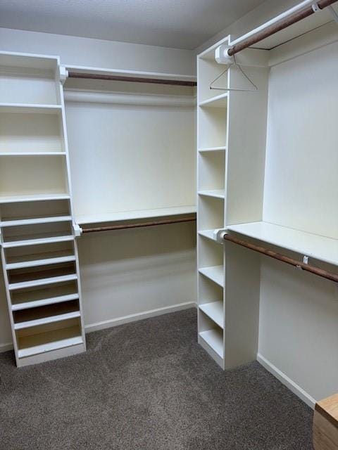 walk in closet featuring carpet floors