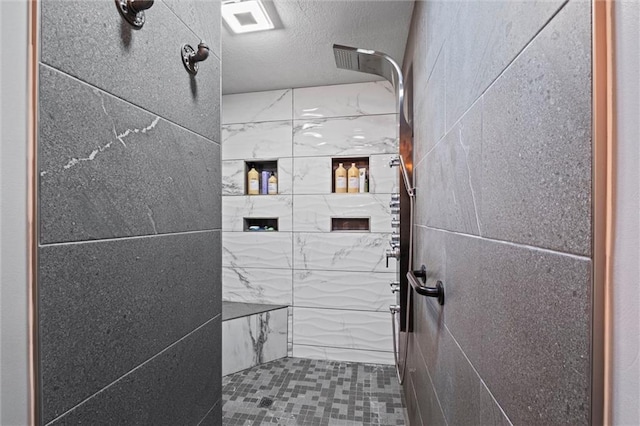 17201 NE 136th St, Kearney, MO 64060 - bathroom with a tile shower