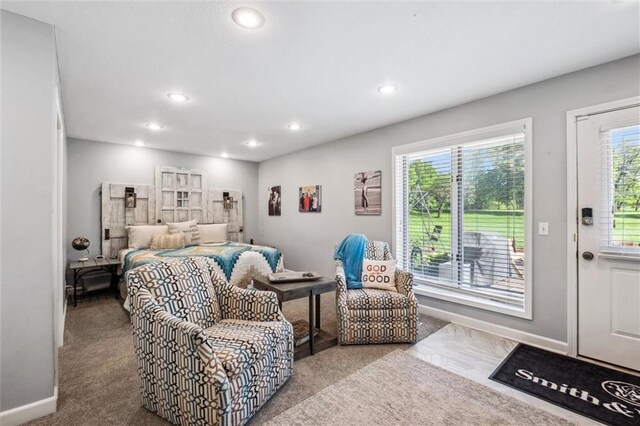 17201 NE 136th St, Kearney, MO 64060 - bedroom with recessed lighting and carpet flooring