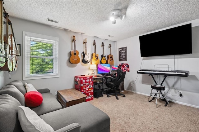 17201 NE 136th St, Kearney, MO 64060 - rec room with carpet and a textured ceiling
